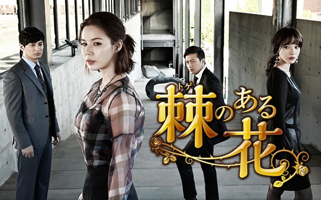 韓国ドラマ-棘のある花-あらすじ-出典:テレビ大阪.jpg